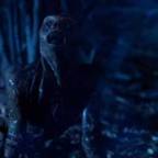 Moments of Dread: XTRO (1982)